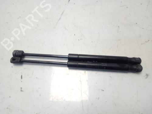 Used Hood lift support LAND ROVER RANGE ROVER EVOQUE (L538) [2011-2019]  14133430