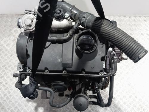Used Engine VW GOLF IV (1J1) [1997-2008]  32019131