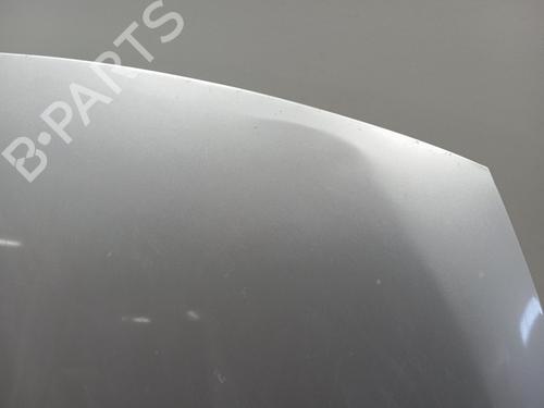 Hood RENAULT SCÉNIC III (JZ0/1_)  | BP26144047C1