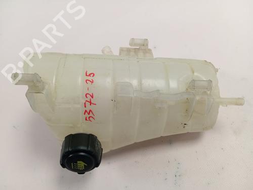 Used Expansion tank RENAULT KANGOO (KC0/1_) [1997-2025]  30375656