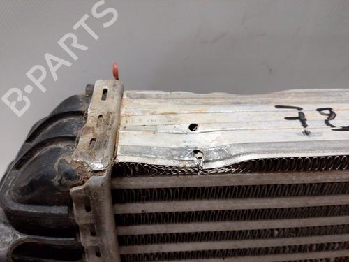 Intercooler NISSAN INTERSTAR Van (X62B) | BP36412093M30 - Image 4