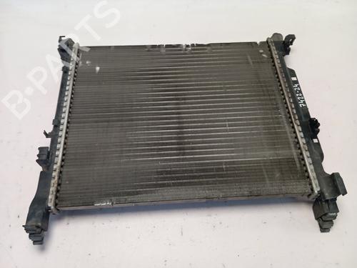 Used Water radiator RENAULT KANGOO / GRAND KANGOO II (KW0/1_) [2008-2025]  28733382