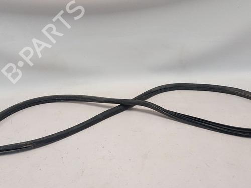 Gummiliste Gummiliste CITROËN C4 CACTUS [2014-2026] 34404893 34404893