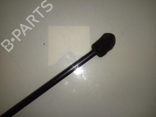 Hood lift support BMW X6 (E71, E72)  | BP15896209C139 