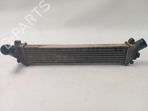 Used Intercooler RENAULT KANGOO Express (FC0/1_) [1997-2026]  32114362