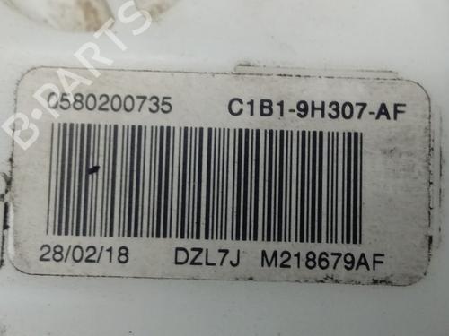 Fuel pump FORD FIESTA VII (HJ, HF)  | BP16866344M76