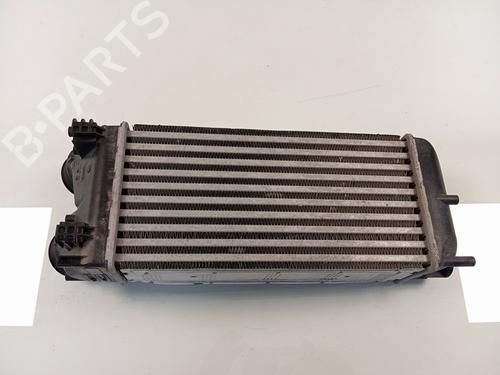 Intercooler DS DS 4 / DS 4 CROSSBACK (NX_) 1.6 THP 165 | BP29409799M30 