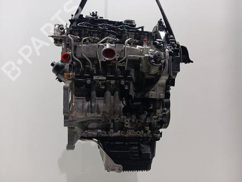Engine FORD TRANSIT CONNECT MPV  | BP32386675M1  - Image 8