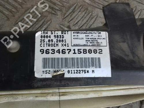 Venstre gardin kollisjonspute CITROËN C5 II (RC_) 2.0 HDi (RCRHRH) | BP16500492C11 
