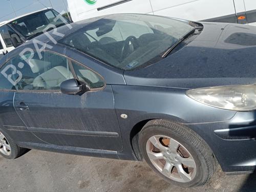 Fuel pump PEUGEOT 307 CC (3B) | BP19261287M76