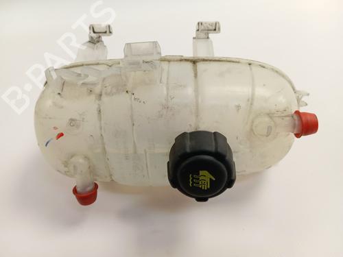 expansion-tank-renault-trafic-iii-van-fg_-2014-33410861 main image