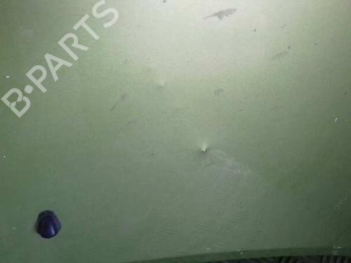 Hood OPEL AGILA A (H00) 1.0 12V (F68) | BP12646530C1