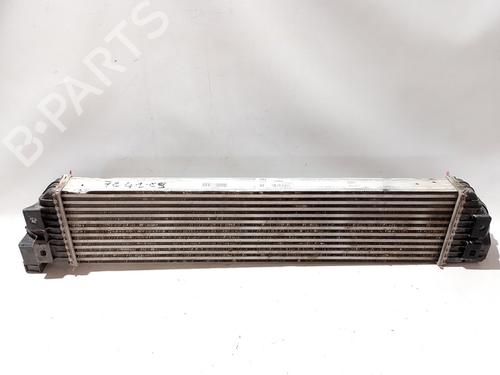 Intercooler NISSAN INTERSTAR Van (X62B) | BP36412093M30 - Image 3