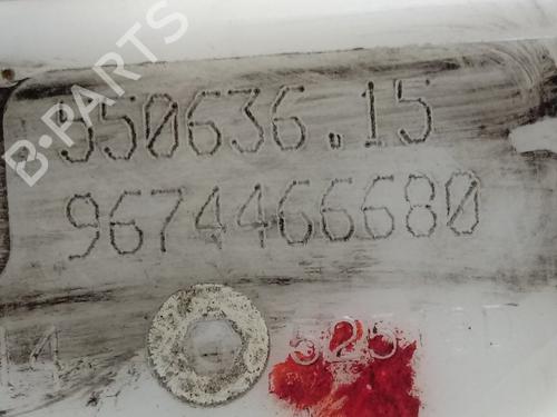 Fuel pump PEUGEOT 208 I (CA_, CC_) | BP13479181M76