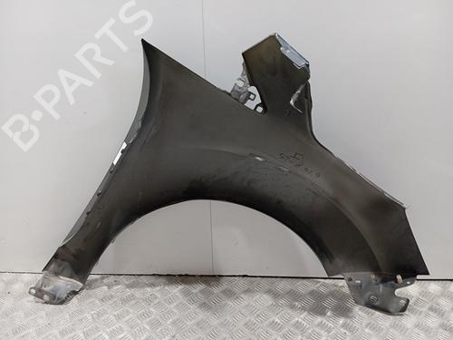 Left front fenders FORD GRAND C-MAX (DXA/CB7, DXA/CEU)  | BP29589876C41 
