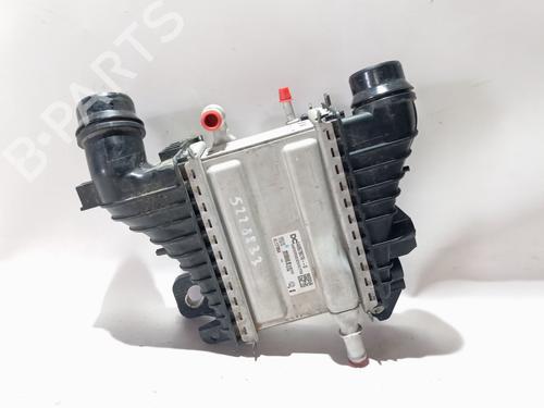 Intercooler Intercooler RENAULT KANGOO III Box Body/MPV 1.5 Blue dCi 95 (FJAB) (95 hp) 36991231 36991231