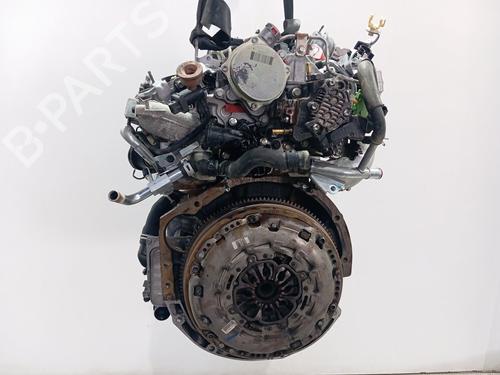 Engine RENAULT KOLEOS I (HY_) 2.0 dCi (HY0K) | BP29596126M1 