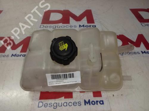 Used Expansion tank RENAULT MEGANE IV Hatchback (B9A/M/N_) 1.5 dCi 110 (B9A3) (110 hp) 12839571