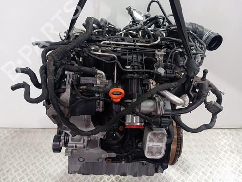 Used Engine VW TOURAN (1T1, 1T2) 1.9 TDI (105 hp) 29001364