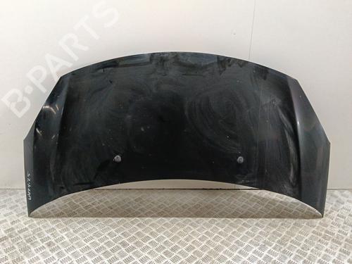 hood-citroen-c3-ii-sc_-2009-33965024 main image