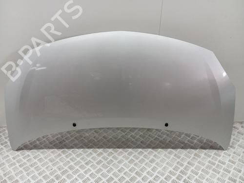 hood-renault-twingo-ii-cn0_-2007-36040133 main image