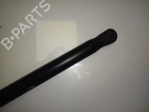 Hood lift support BMW X6 (E71, E72)  | BP15896209C139 