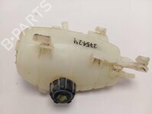 Headlight switch FORD TRANSIT CONNECT V408 Box Body/MPV  | BP21845732I24 