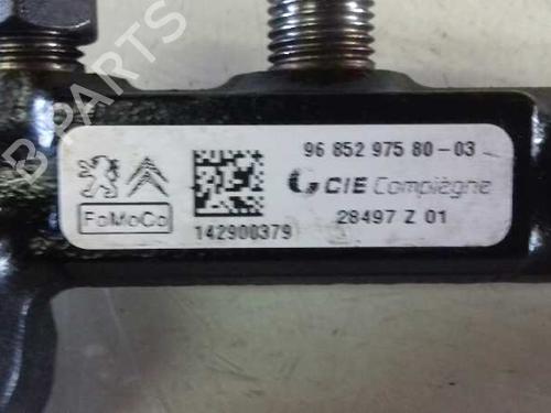 Used Injection rail FORD FOCUS III 1.6 TDCi (95 hp) 12647162