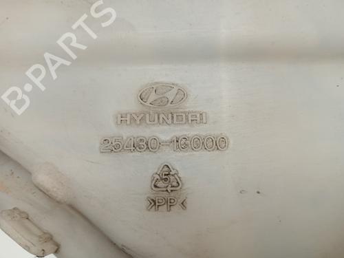 Expansion tank HYUNDAI GETZ (TB)  | BP17193599C120 