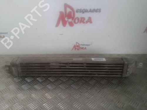 Intercooler OPEL MERIVA A MPV (X03) 1.3 CDTI (E75) | BP12633879M30 