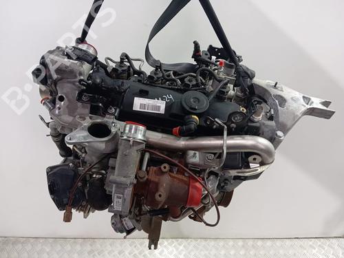 Used Engine RENAULT KANGOO BE BOP (KW0/1_) 1.5 dCi 75 (75 hp) 25855569