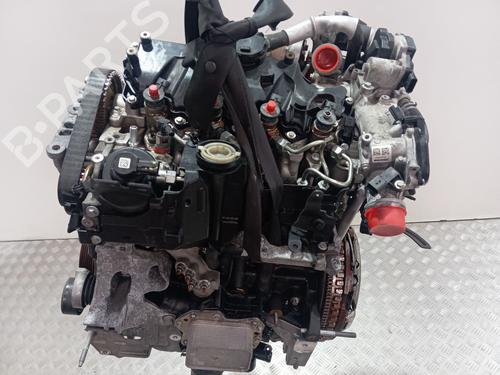 Engine RENAULT MEGANE IV Hatchback (B9A/M/N_) 1.5 Blue dCi 115 (B9A6) | BP39196746M1 - Image 2