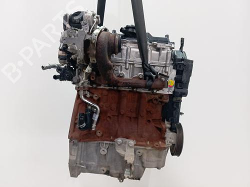 Engine RENAULT CLIO V (B7_)  | BP38641891M1  - Image 6