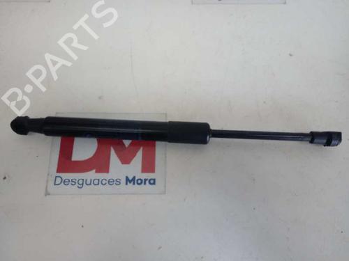 Amortecedor da mala BMW Z4 Roadster (E89) sDrive 23 i (204 hp) 14128596