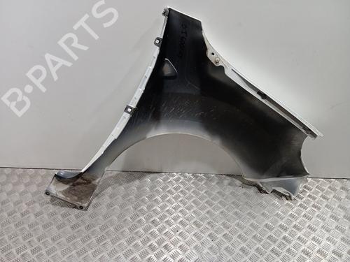 Left front fenders RENAULT KANGOO / GRAND KANGOO II (KW0/1_) 1.5 dCi 70 (KW0V, KW0A) | BP22565571C41 
