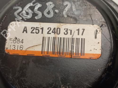 Engine mount MERCEDES-BENZ GL-CLASS (X164) GL 350 CDI 4-matic (164.822) | BP22412673M89 