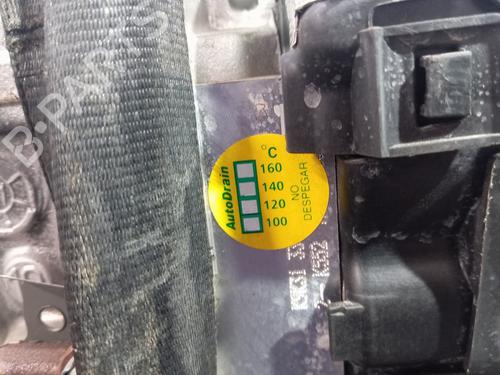 Engine RENAULT KANGOO III MPV | BP30570903M1