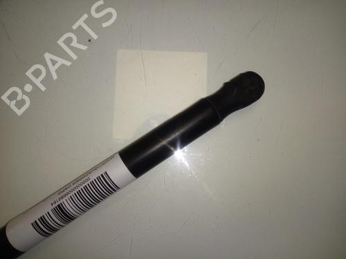 Hood lift support BMW X6 (E71, E72)  | BP15896209C139 