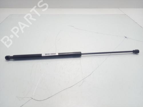 Gasdemper motorkap DACIA SANDERO II TCe 90 (B8M1, B8MA, B8AC) (90 hp) 15769265