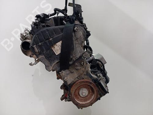 Engine RENAULT EXPRESS Box Body/MPV  | BP24203949M1 