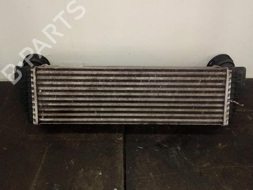 Intercooler BMW X6 (E71, E72)  | BP16032331M30 