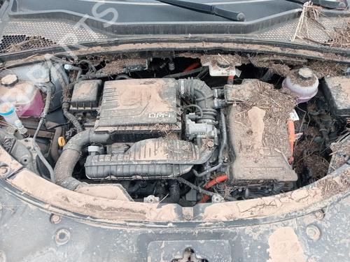  - Image 6
