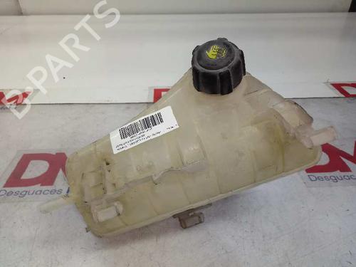 Used Expansion tank RENAULT KANGOO Express (FW0/1_) [2008-2025]  16984835