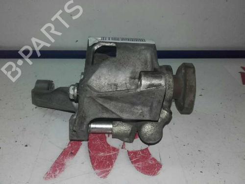 Steering pump SEAT INCA (6K9)  | BP12636666M99 