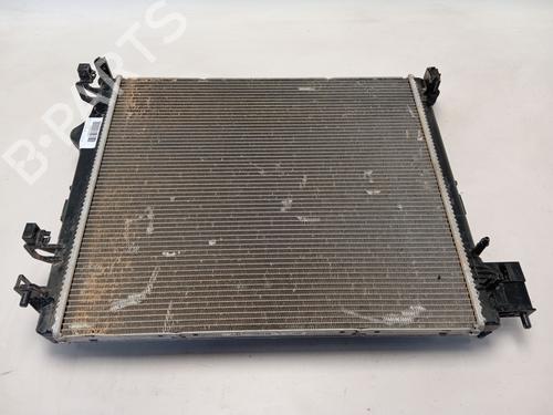 Køler NISSAN QASHQAI III (J12) [2021-2025]  28031360