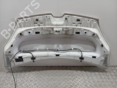 Hood RENAULT KANGOO / GRAND KANGOO II (KW0/1_)  | BP29596139C1 