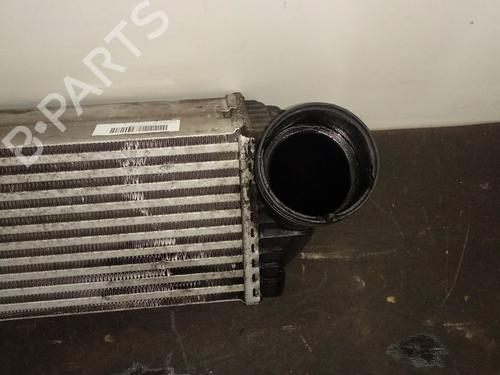 Intercooler BMW X6 (E71, E72)  | BP16032331M30 