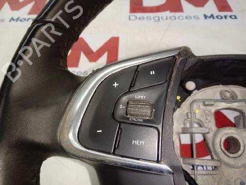 Rat DS DS 4 / DS 4 CROSSBACK (NX_) | BP13233324C49