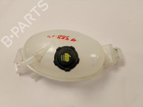 Deposito expansion RENAULT MASTER III Van (FV) 2.3 dCi 110 FWD (FV0R, FV0W, FV1A) (110 hp) 27335517