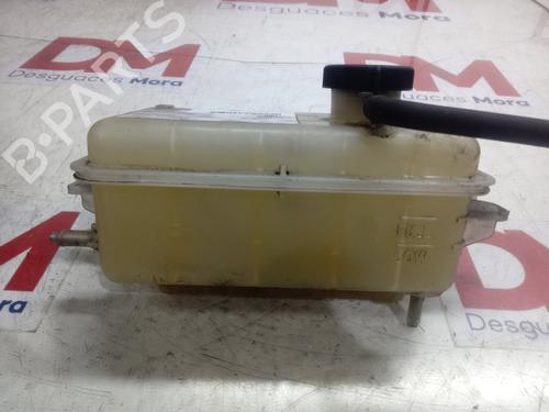 Expansion tank LEXUS LS (_F4_) 600h AWD (UVF45, UVF46) | BP29409920C120 